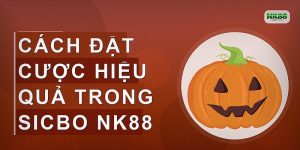 Cách đặt cược hiệu quả trong Sicbo NK88