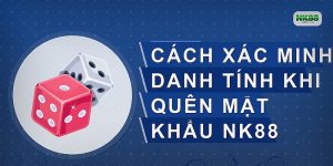 Cách xác minh danh tính khi quên mật khẩu NK88