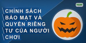 Chính sách bảo mật và quyền riêng tư của người chơi